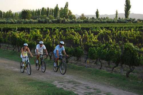 bike ride through vineyards