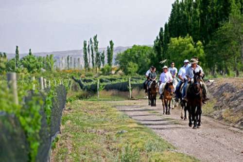 horseback riding