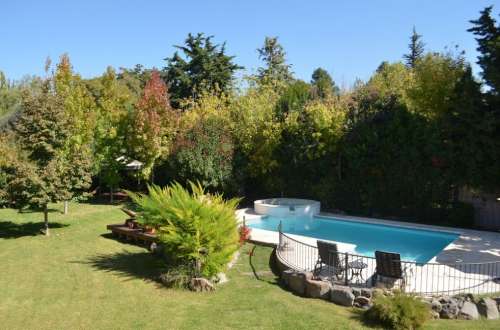 Garden and pool