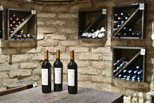 Wine Cellar