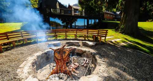 Barbecue in the Garden