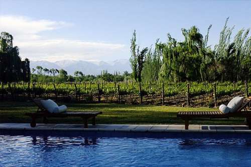 Piscina y Viñedos