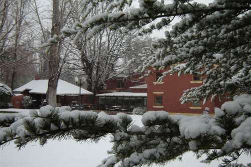 Vista del Jardín nevado